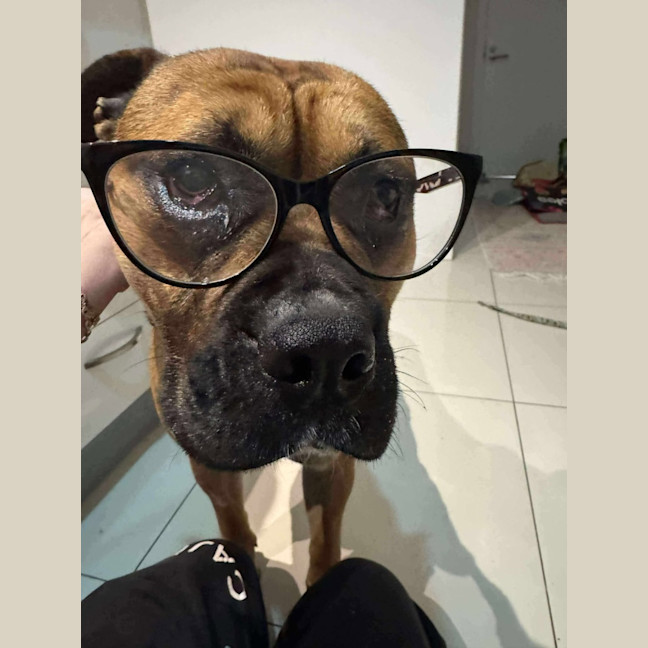 Photo of Arlo