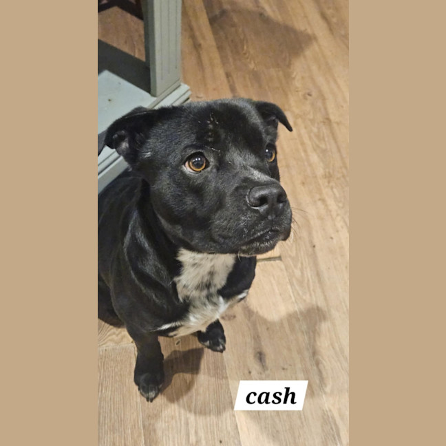 Photo of Cash