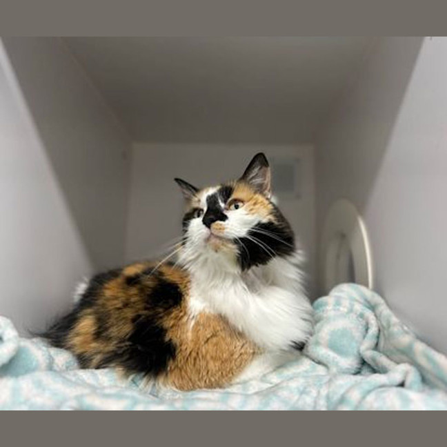 Photo of Matilda