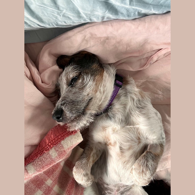 Photo of Molly
