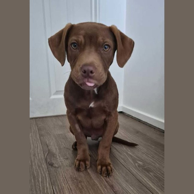Photo of Murphy