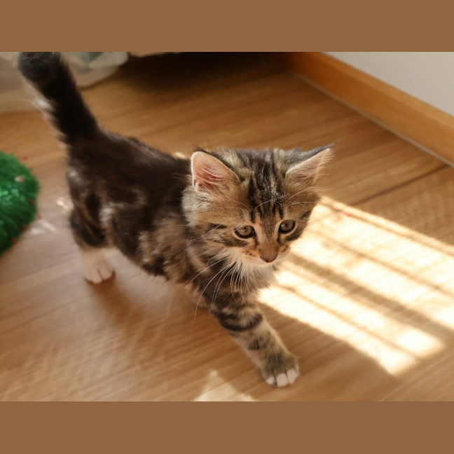 Photo of Max