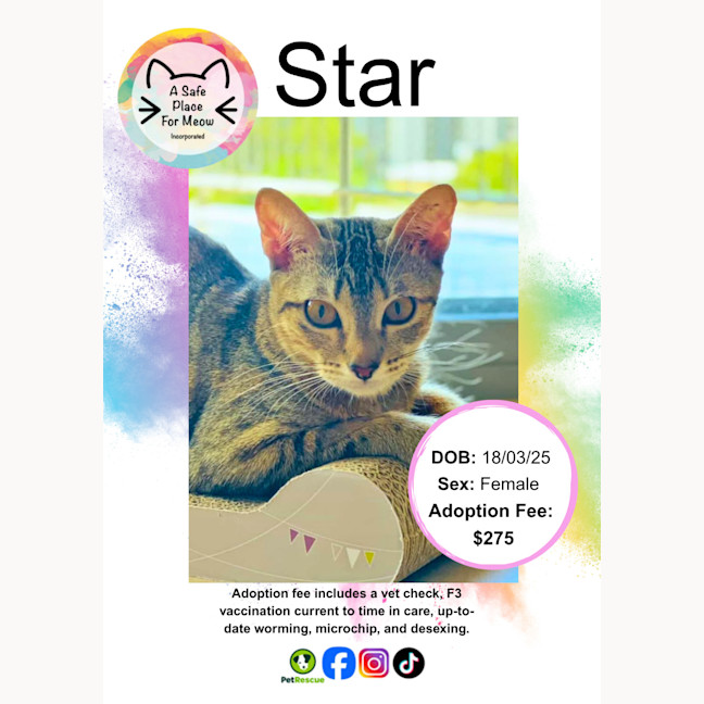 Photo of Star