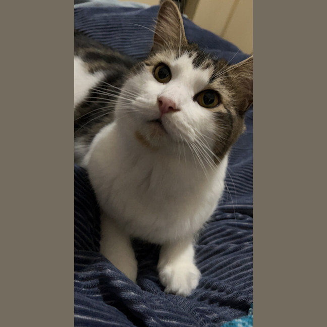Photo of Marley
