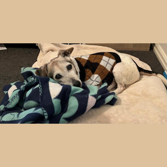 Photo of Ruby And Vincent Silvanus