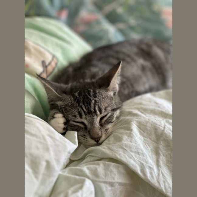 Photo of Peter And Brock