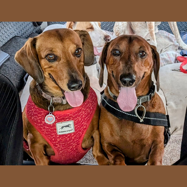 Photo of Harry / Sally