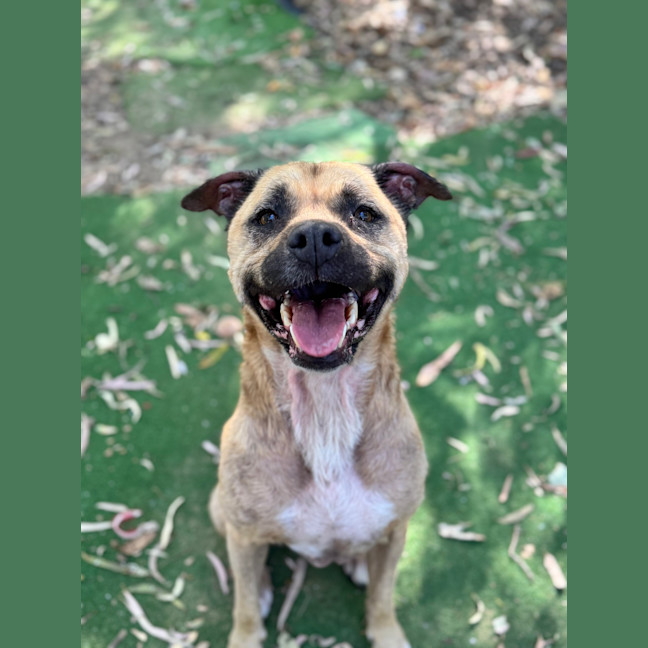 Photo of Steffi (Ex Jade)