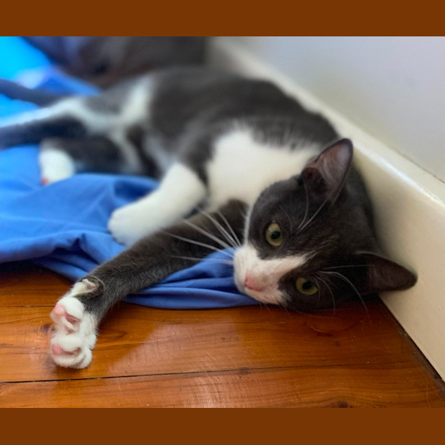 Photo of Storm (9173)