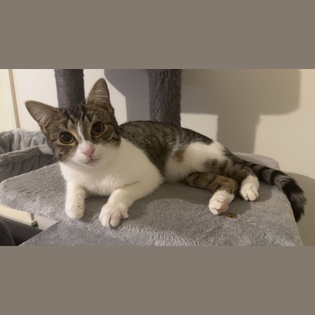 Photo of Monty