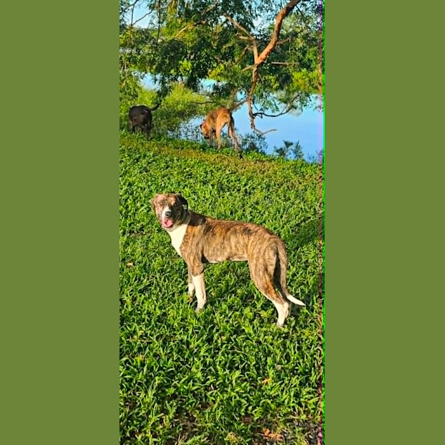 Photo of Catia