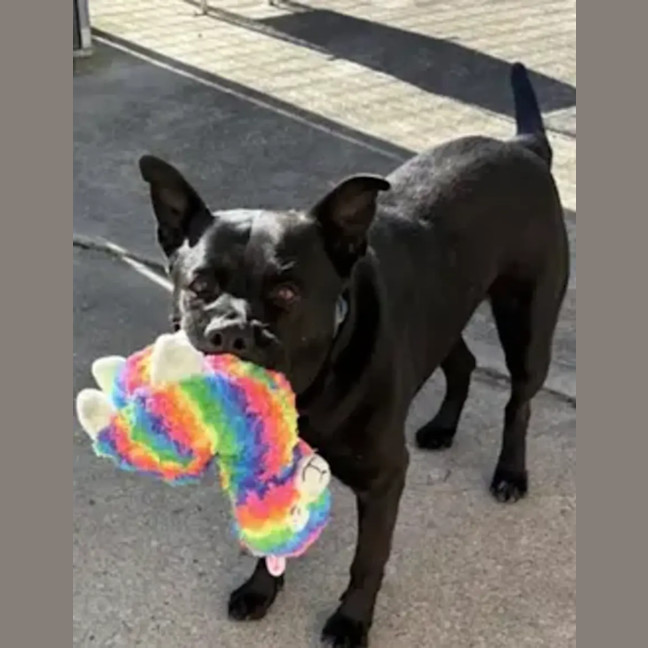 Photo of Tucker
