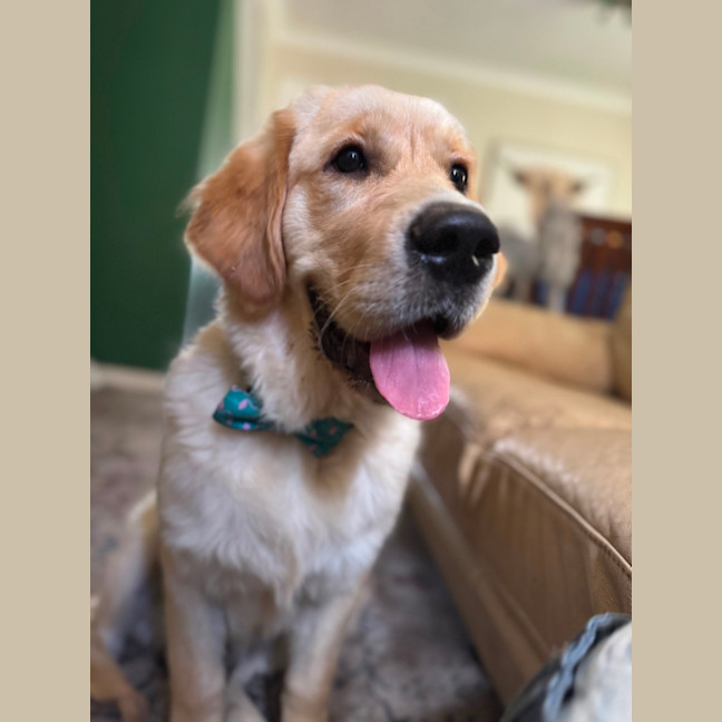 Photo of Milo