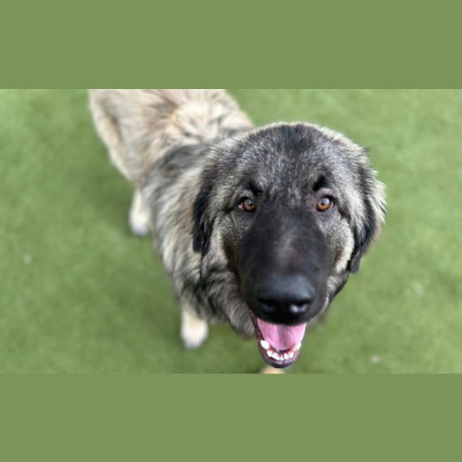 Photo of Maxy
