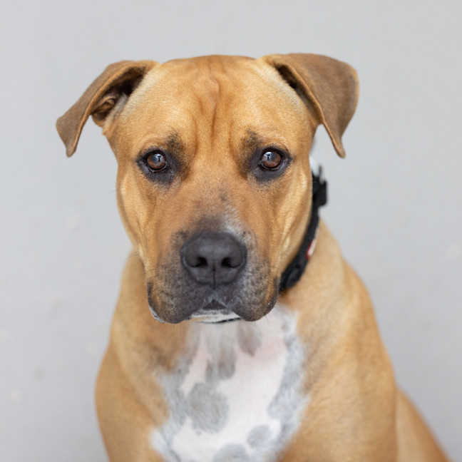Photo of Shaka