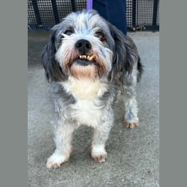 Photo of Charlie