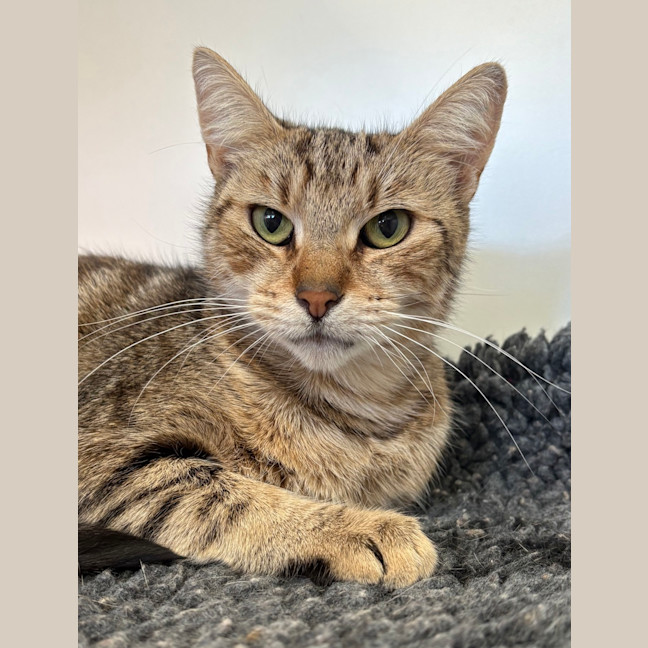 Photo of Mimi