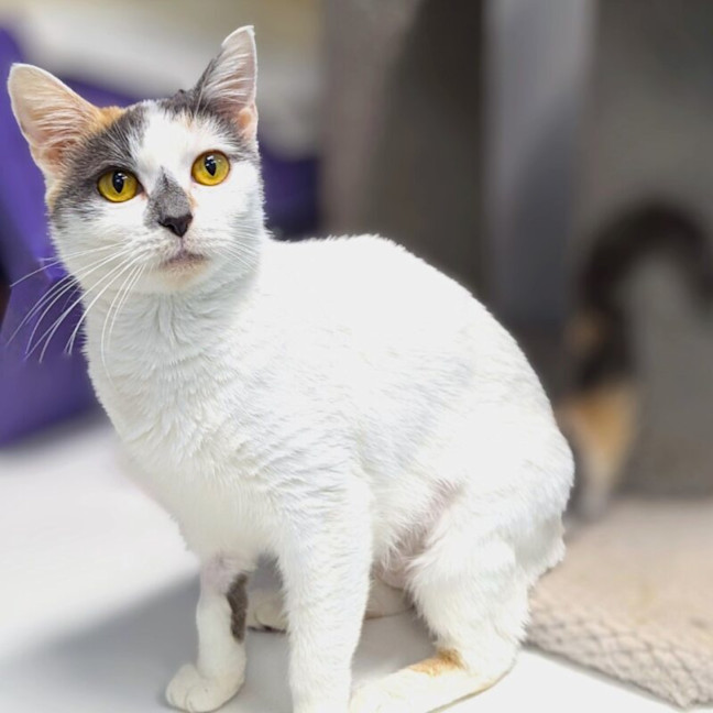Photo of Mable