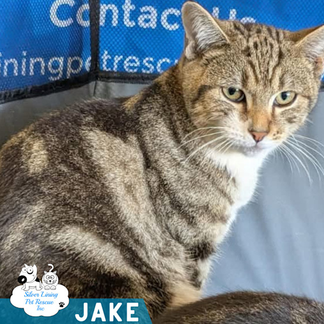 Photo of Jake
