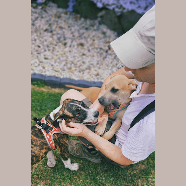 Photo of Sundae