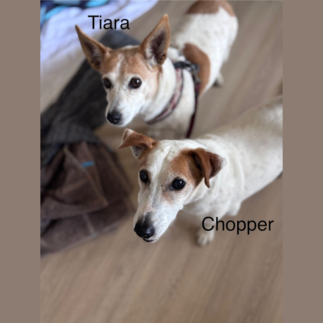 Photo of Tiara And Choppa