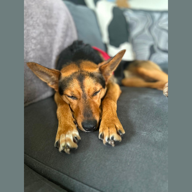 Photo of Jazz