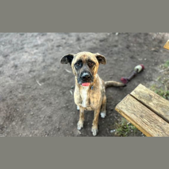 Photo of Sprout