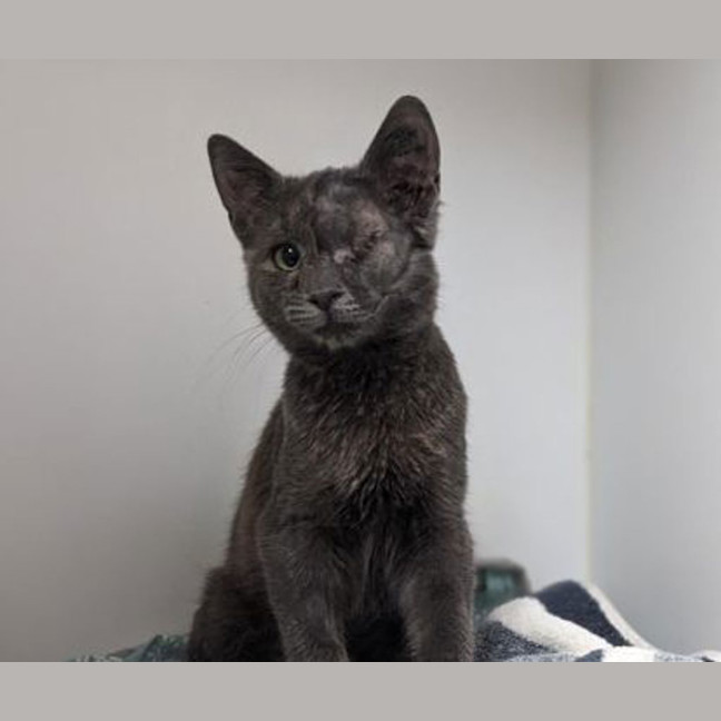 Photo of Billy 