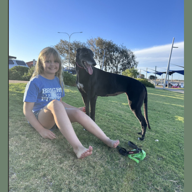 Photo of Violet The Greyhound