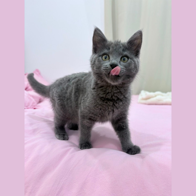 Photo of Ella Bleu