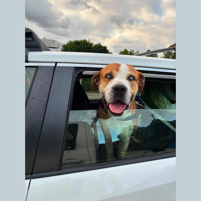 Photo of Benny