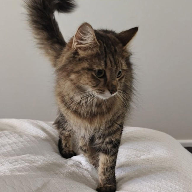 Photo of Willa