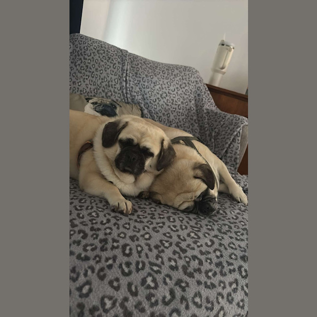 Photo of Coco And Lola