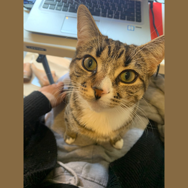 Photo of Alexa & Cindy