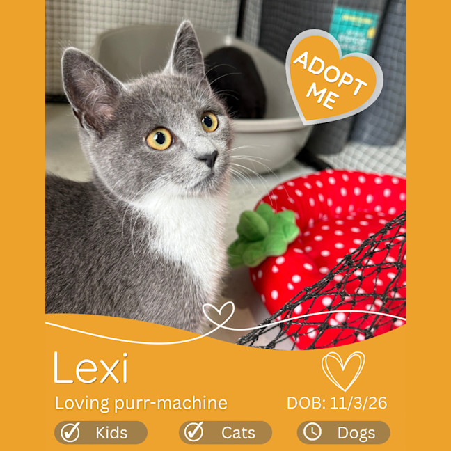 Photo of Lexi