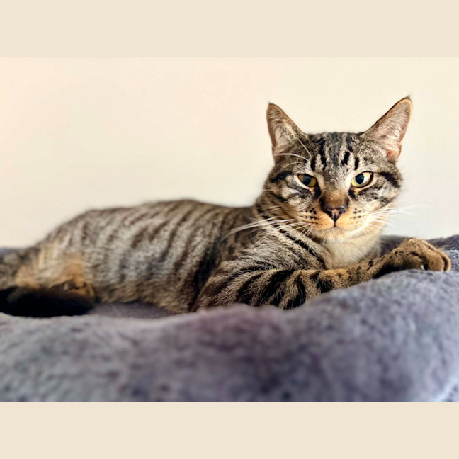 Photo of Reetee