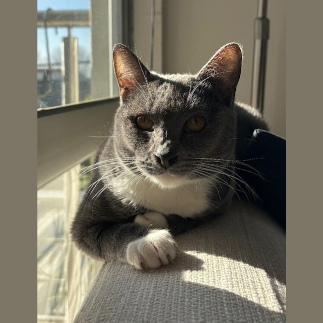 Photo of Luna