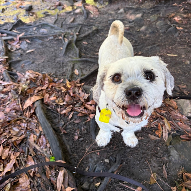 Photo of Ella And Blaze 