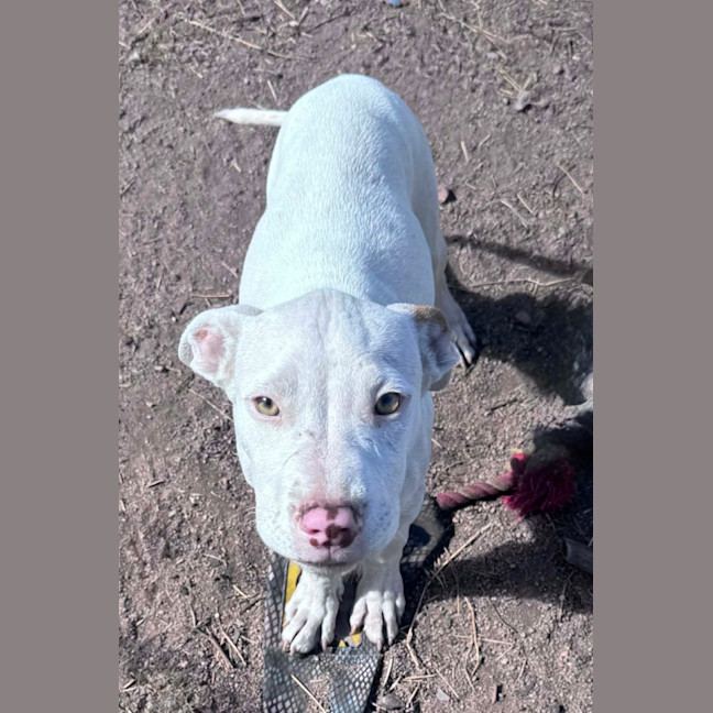 Photo of Thor 