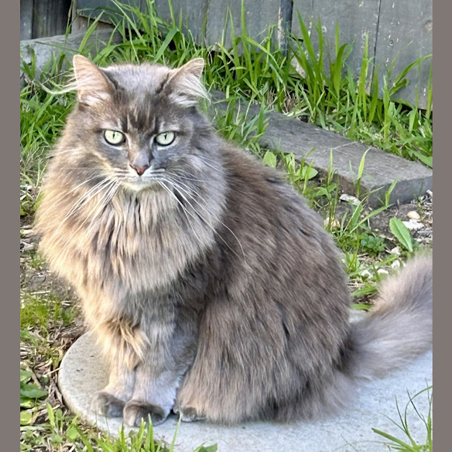 Photo of Chloe