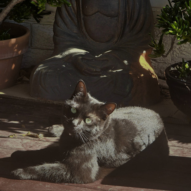 Photo of Emmy