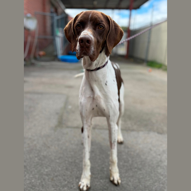 Photo of Pablo