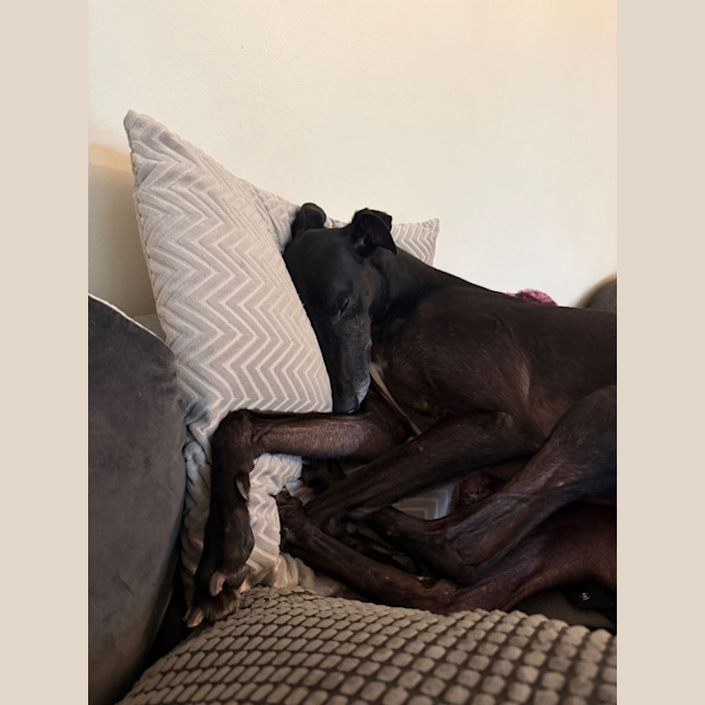 Photo of Chloe 