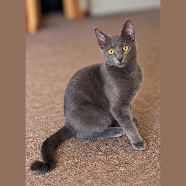 Photo of Tony