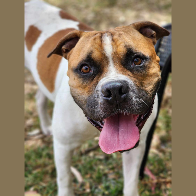 Photo of 🥯 Crumpet 5721 🥯