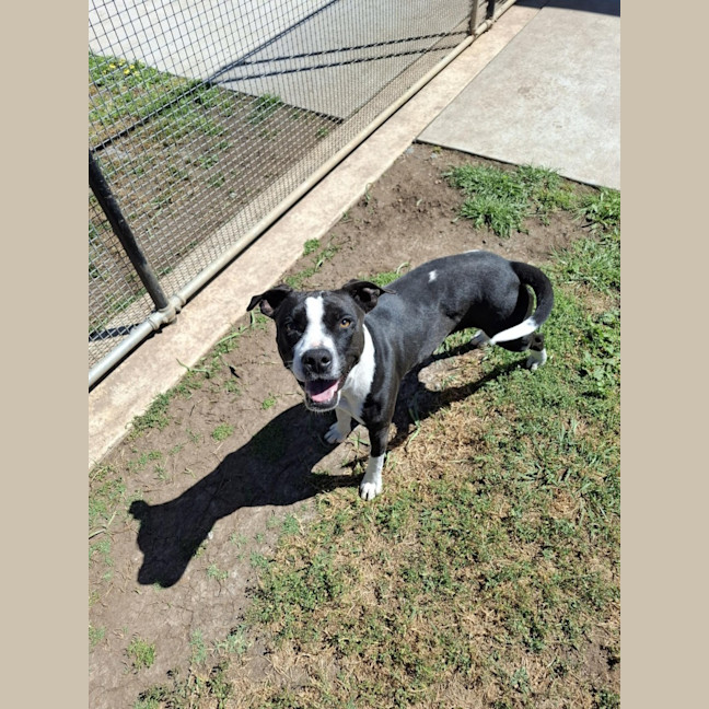 Photo of 121 Rhea