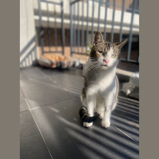 Photo of Ranger