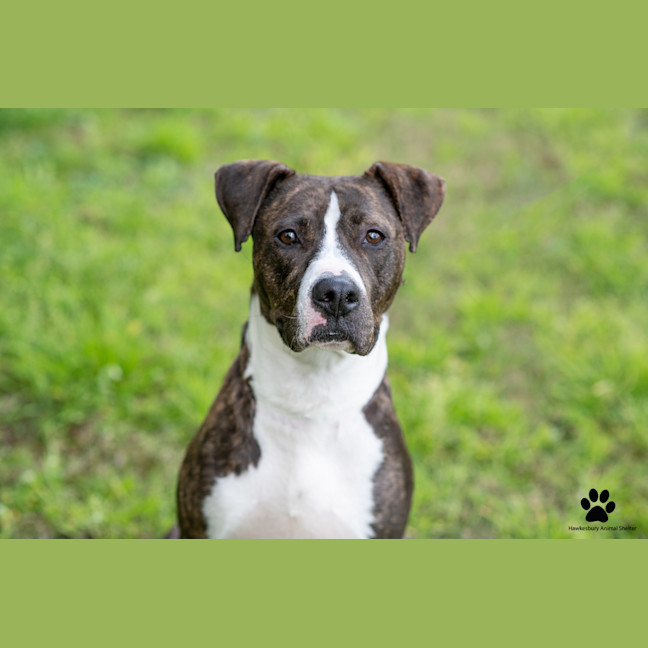 Photo of Sally