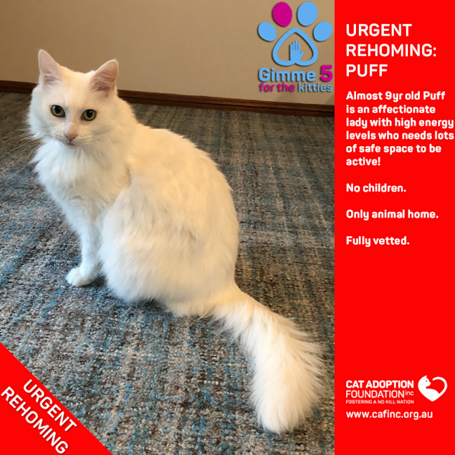 Photo of Puff