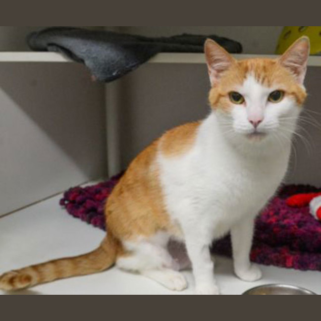 Photo of Jasper
